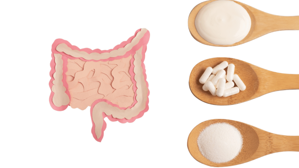 probioticos